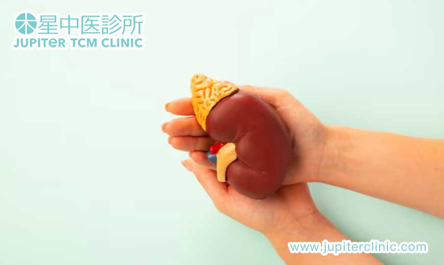 腎功能養護必知：中醫提醒這 5 個習慣，傷腎行為千萬別做！