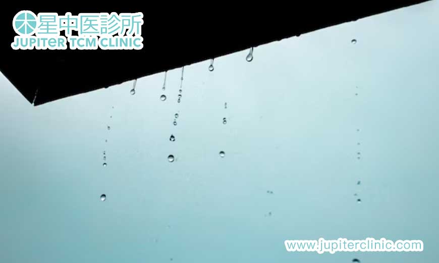 梅雨季節濕氣重？中醫推介健脾理氣湯水，祛濕消滯一齊搞掂！