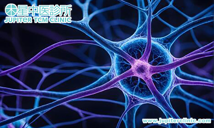 中醫如何全面調理癌症疼痛與治療後神經病變，重拾優質生活